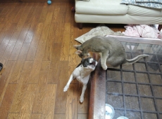 2013-05-31_13-37-58_01