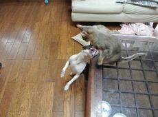 2013-05-31_13-37-59_01