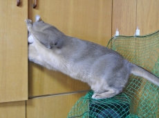 2013-06-08_07-02-51