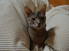 2013-12-27_13-15-57