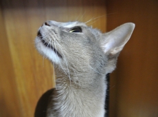 20140206_163000