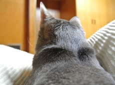 20140316_014047