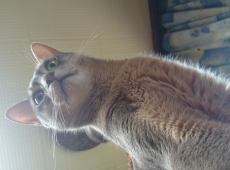20140610_114726