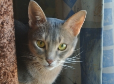 2015-10-18_11-22-01