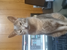 2015-10-20_18-47-19