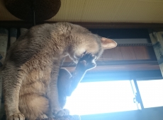 2015-12-01_15-59-52