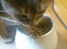 2016-06-04_18-54-04