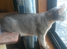 2016-06-13_13-39-03