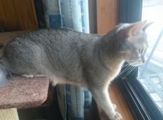 2016-06-13_13-39-11