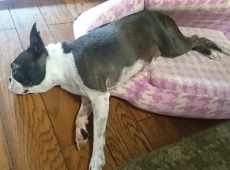 2016-08-05_09-50-09