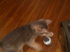 2012-05-23_12-28-30
