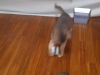 2012-05-23_12-28-39