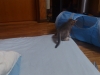 2012-05-23_13-10-28