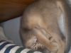 2012-05-23_15-32-06