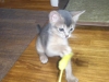 2012-05-24_19-29-37