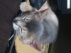 2012-05-26_22-13-45