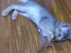 2012-05-28_13-27-54