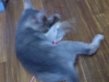2012-05-28_13-29-48
