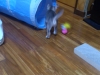 2012-05-28_13-35-04