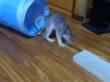 2012-05-28_13-35-08
