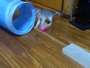 2012-05-28_13-35-11