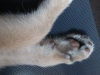 2012-05-28_17-33-54