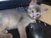 2012-05-28_18-18-27