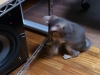 2012-05-28_23-54-04