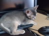 2012-05-29_16-04-47