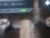 2012-05-31_02-08-20