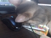 2012-06-01_16-22-35