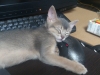 2012-06-01_17-56-49