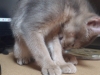 2012-06-05_18-41-16