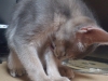 2012-06-05_18-41-23