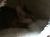 2012-06-09_21-49-07