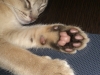2012-06-09_22-16-26