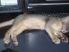 2012-06-09_22-16-55