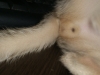 2012-06-11_00-56-43