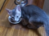 2012-06-20_15-25-32