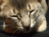 2012-06-21_21-47-58