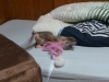 2012-06-23_19-58-31