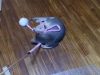 2012-06-23_19-59-32