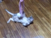 2012-06-23_20-00-29