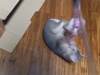 2012-06-23_20-02-55
