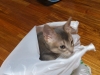 2012-06-24_00-27-28
