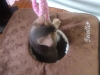 2012-06-25_12-22-38