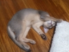 2012-06-28_23-07-58