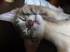 2012-07-03_00-56-21