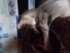 2012-07-03_02-32-43