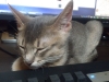 2012-07-03_19-13-45